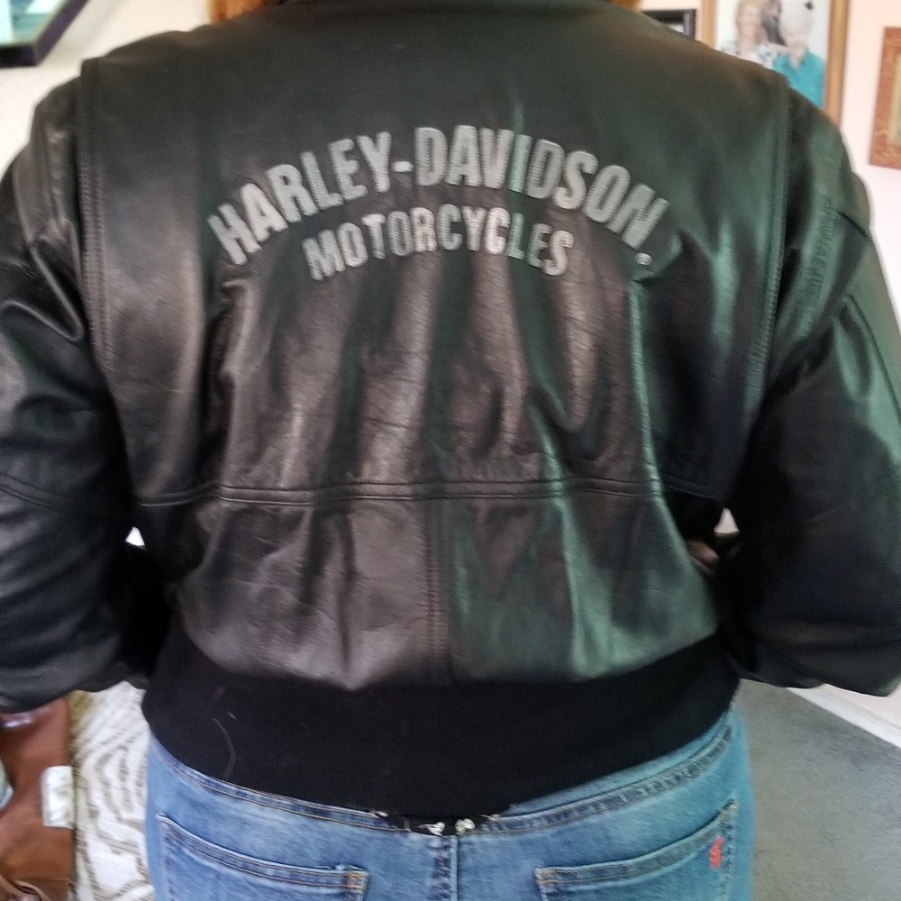 Harley davidson leather jacket